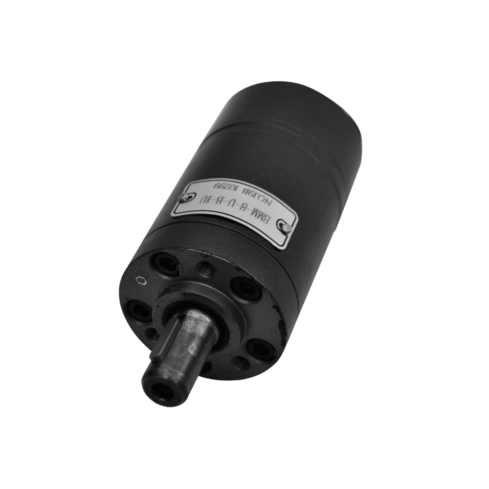 High Rpm Gear Hydraulic Gear Motor Rpm