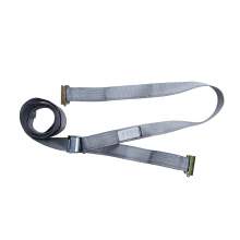 Cam Buckle Van Strap With Spring End Fitting 2" x 16' WLL 833 lbsWSTDA