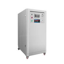 99.99% PSA Integrated nitrogen generator machine for food packaging industry 105.94 ft³/h 220V