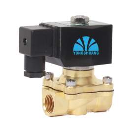 110VAC Brass Direct lifting Diaphragm Solenoid Valve, Normally Closed, 1/2" NPT Pipe Size