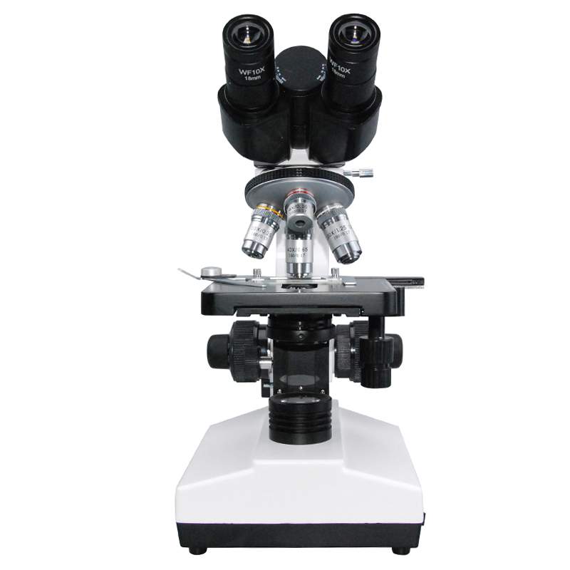 Bolton Tools 40X-2000X Student Biological Compound Microscope